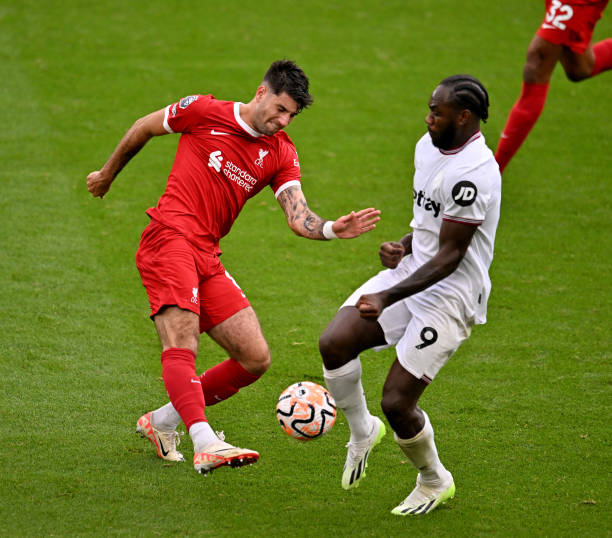 纳多次撕裂 纳多次撕裂