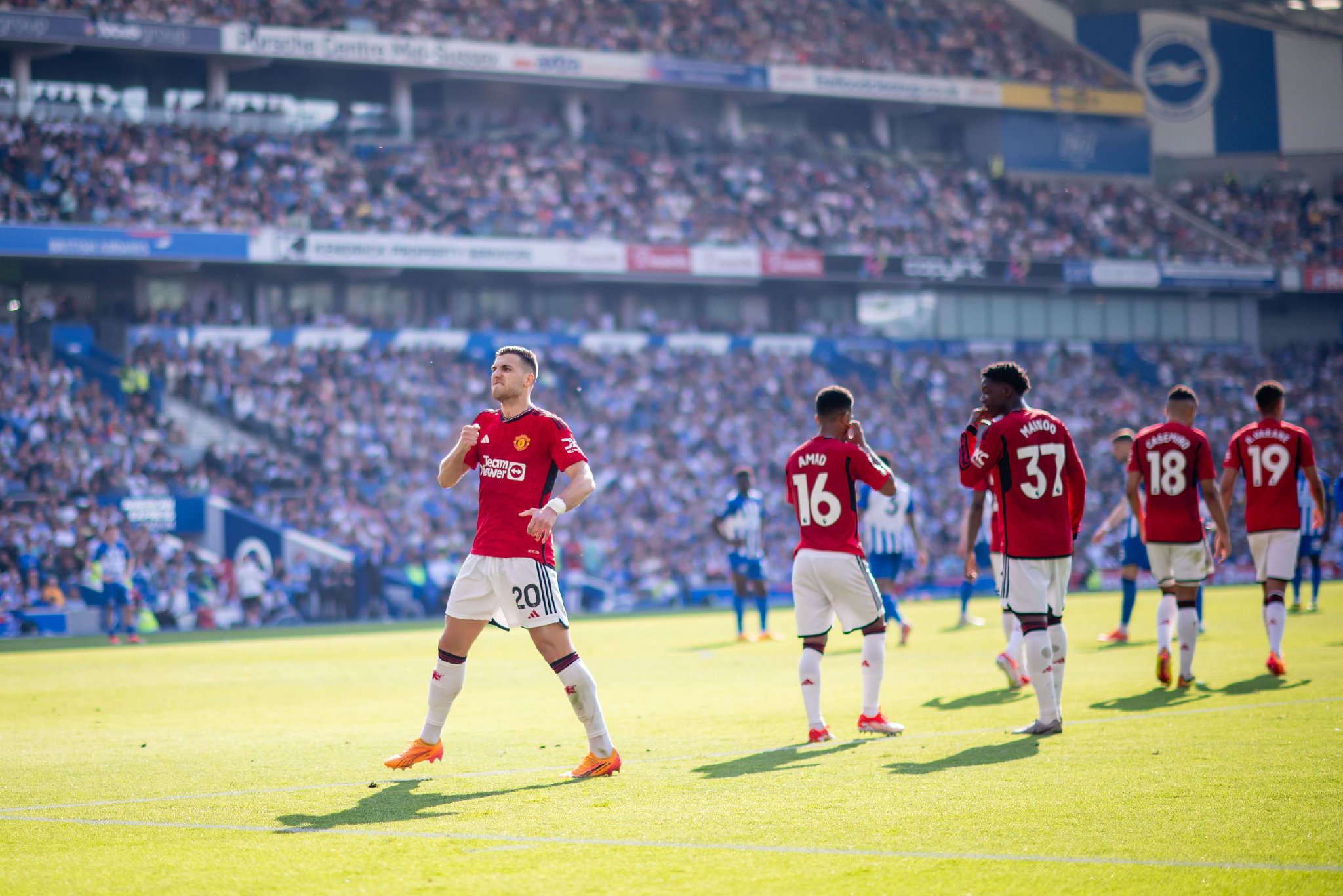 属的种种猜 属的种种猜